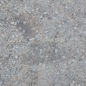 Meet your Posher, Jack